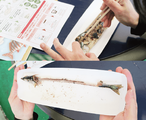 「魚の骨選手権」イベントレポート