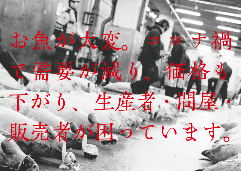 『魚の宝庫 食の底力 JAPAN』プロジェクトスタート！